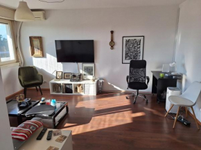 The Medwed Solstice Apartment
